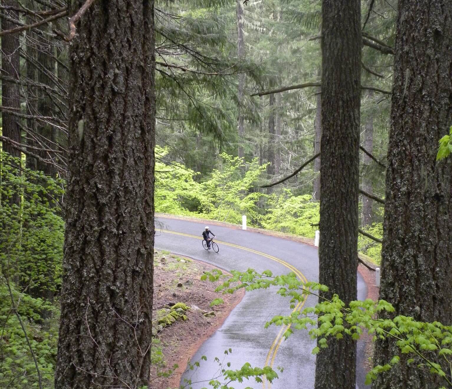 McKenzie-Pass-Scenic-Bikeway